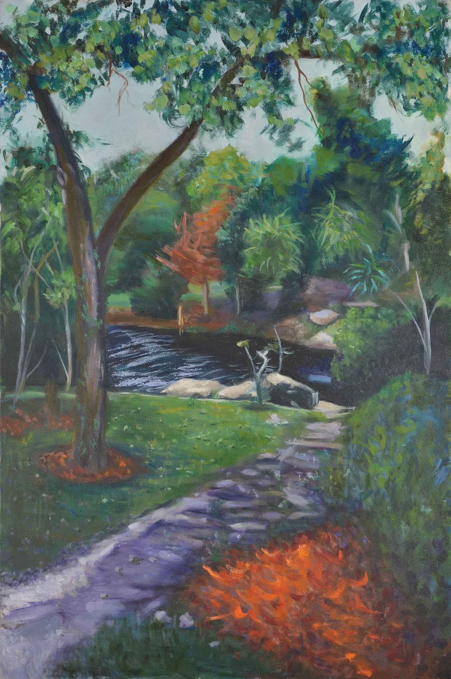 Stream In Summer